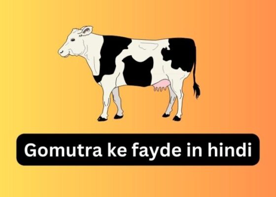 Gomutra_ke_fayde_in_hindi